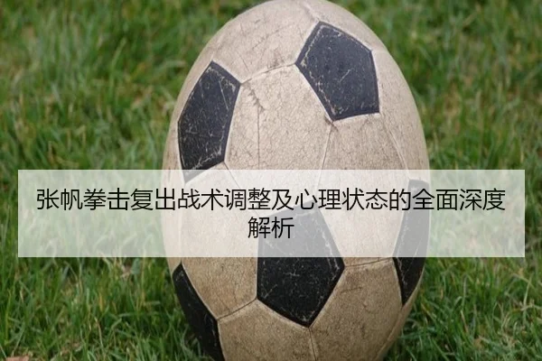 张帆拳击复出战术调整及心理状态的全面深度解析 - AIGAME SPORTS